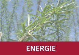 energie